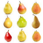 4-in-1 Pear Tree