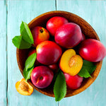 Red Gold Nectarines are juicy but firm with an excellent flavor.