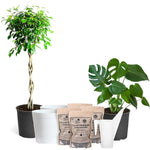 All-in-One House Plant Kit