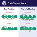 Cool-Climate Shade Garden Kit