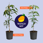Mango Kit