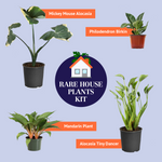 Rare House Plant Kit