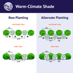 Warm-Climate Shade Garden Kit