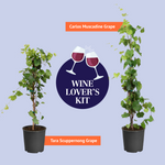 Wine Lover's Kit