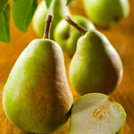 Bartlett pears are very aromatic. 