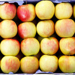 Jonagold Apples are very large with a thin skin.