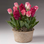 Pink Bloom Garden with Seagrass Pot