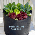 Patio Salad Garden