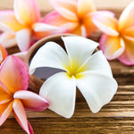 Your Plumeria could be any color but they will all have that amzing scent!